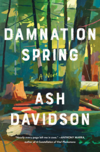 Cover of Damnation Spring - atmospheric book 1